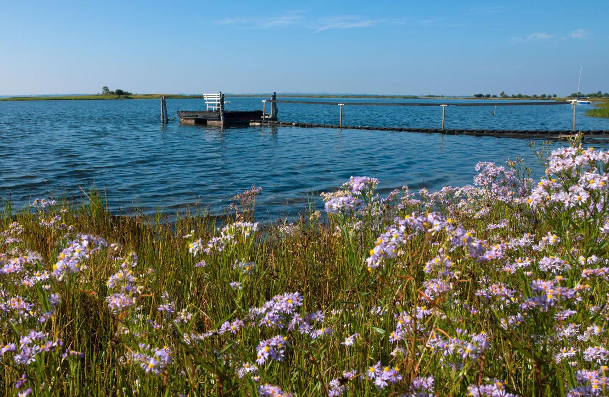 Haus Kulschewski Insel Poel Exteriér fotografie