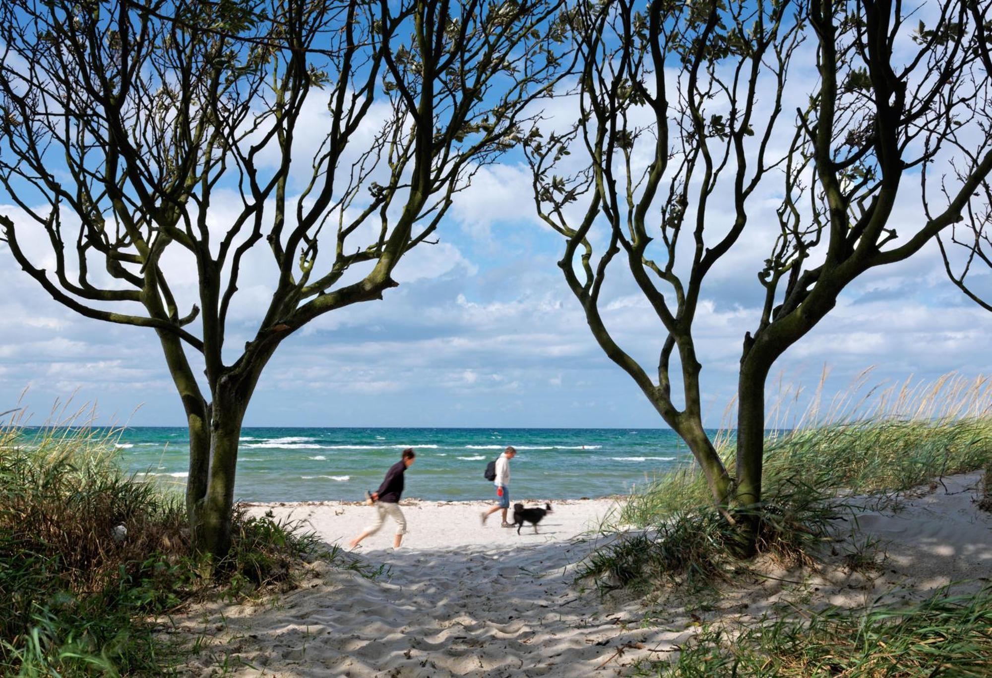 Haus Kulschewski Insel Poel Exteriér fotografie